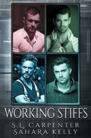 Cover of Working Stiffs
