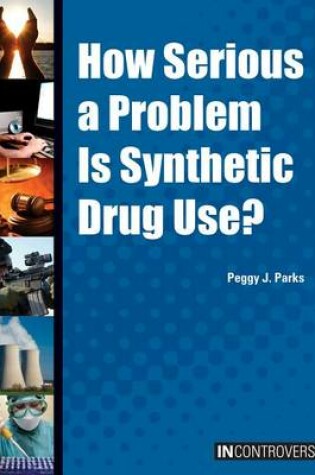 Cover of How Serious a Problem Is Synthetic Drug Use?