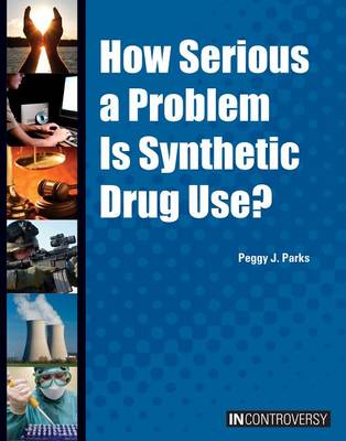 Cover of How Serious a Problem Is Synthetic Drug Use?