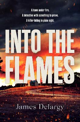 Book cover for Into the Flames