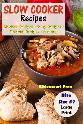 Book cover for Slow Cooker Recipes - Bite Size #7