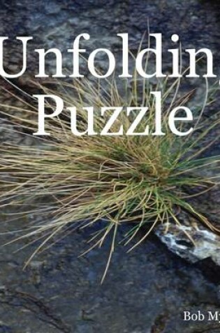 Cover of Unfolding Puzzle