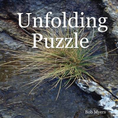 Book cover for Unfolding Puzzle