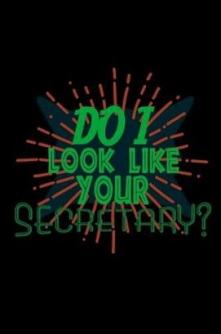 Cover of Do I look like your secretary?