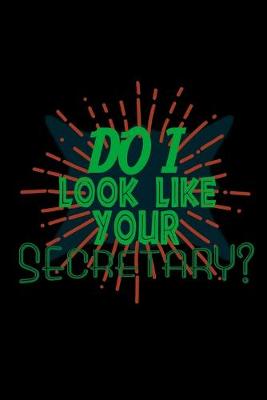 Book cover for Do I look like your secretary?