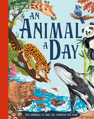 Book cover for An Animal a Day