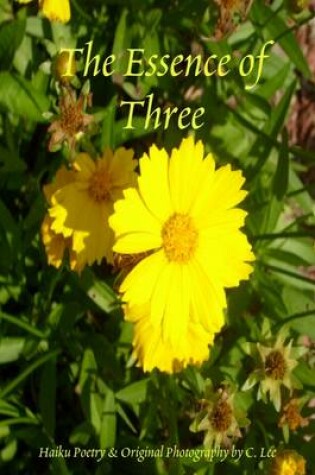 Cover of The Essence of Three