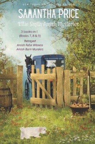 Cover of Ettie Smith Amish Mysteries 3 books-in-1