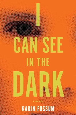 Book cover for I Can See in the Dark
