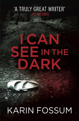 Book cover for I Can See in the Dark