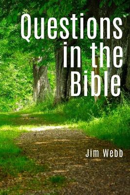 Book cover for Questions in the Bible