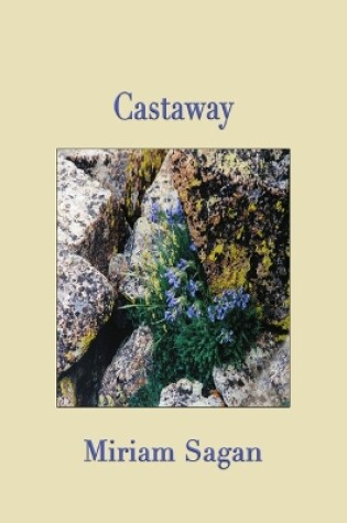 Cover of Castaway