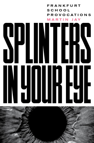 Cover of Splinters in Your Eye