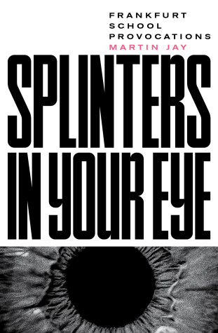 Book cover for Splinters in Your Eye