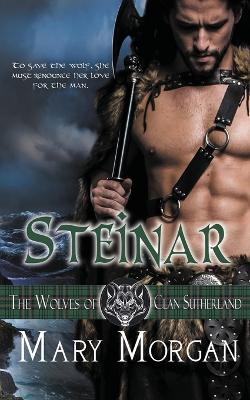 Book cover for Steinar