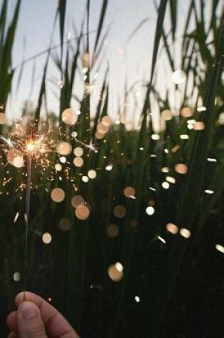 Cover of Dazzling Sparkler in a Corn Field