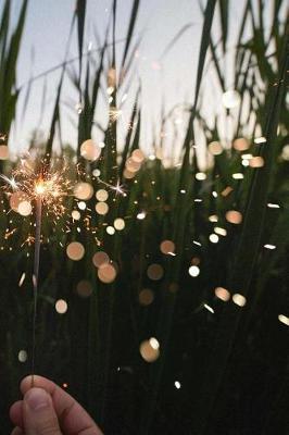 Book cover for Dazzling Sparkler in a Corn Field