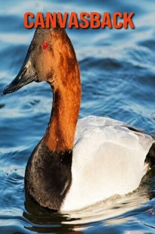 Cover of Canvasback