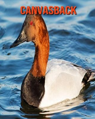 Book cover for Canvasback