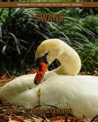 Book cover for Swans