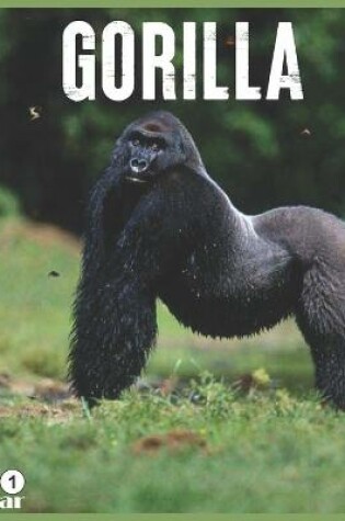 Cover of Gorilla 2021 Calendar