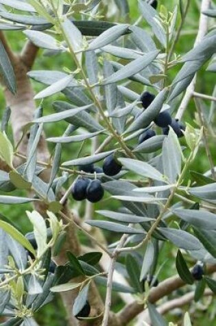 Cover of Olives on the Tree Journal