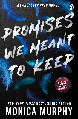 Book cover for Promises We Meant To Keep