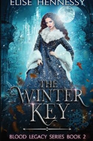 Cover of The Winter Key