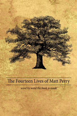 Book cover for The Fourteen Lives of Matt Perry