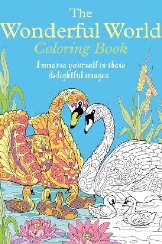 Cover of The Wonderful World Coloring Book