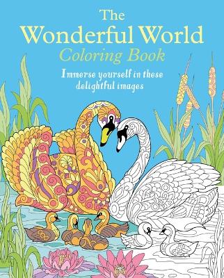 Book cover for The Wonderful World Coloring Book