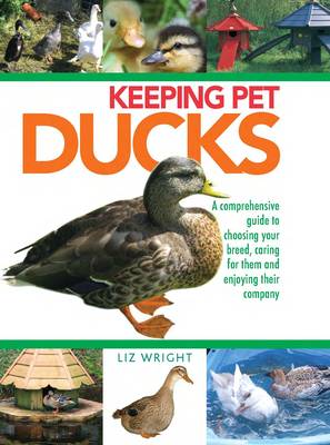 Book cover for Keeping Pet Ducks