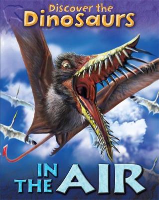 Book cover for In the Air