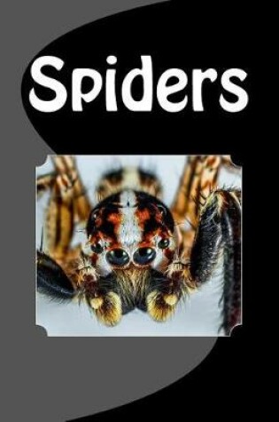 Cover of Spiders (Journal / Notebook)