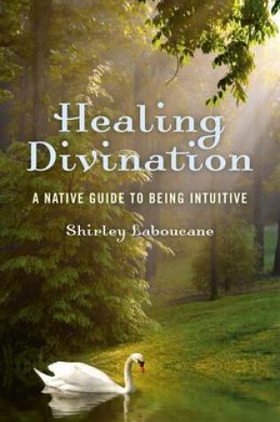 Cover of Healing Divination - a native guide to being intuitive
