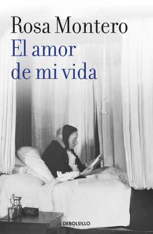 Book cover for El amor de mi vida / Love of My Life