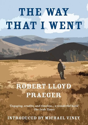 Book cover for The Way That I Went