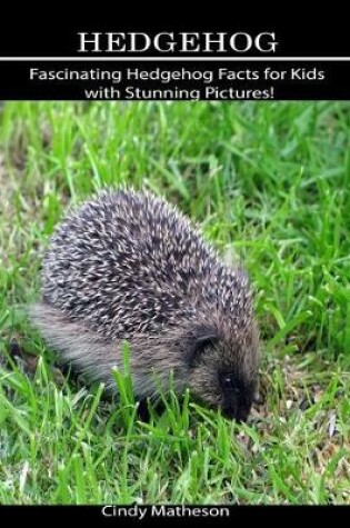 Cover of Hedgehog