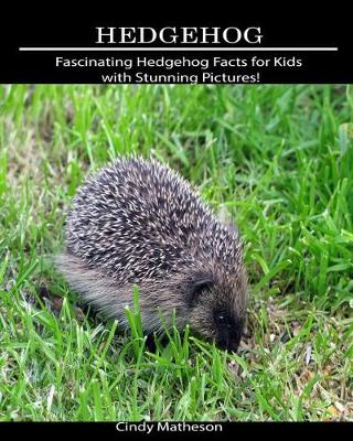 Book cover for Hedgehog