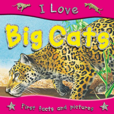 Book cover for I Love Big Cats