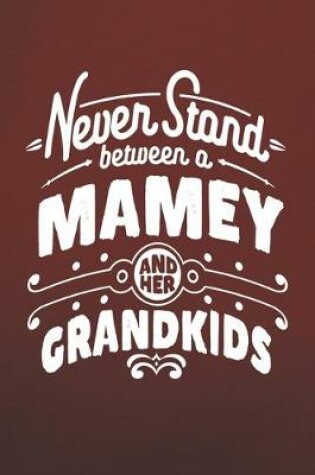 Cover of Never Stand Between A Mamey And Her Grandkids