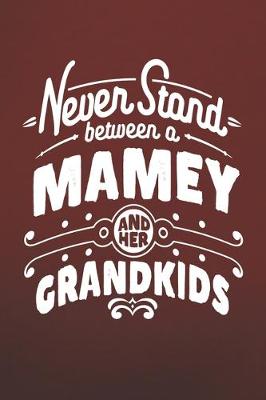 Book cover for Never Stand Between A Mamey And Her Grandkids