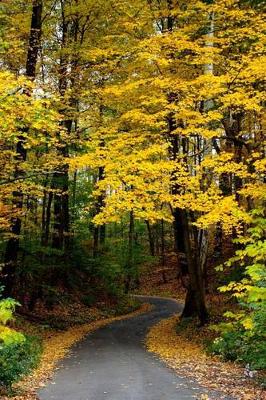 Book cover for A Road Through a Forest of Yellow Autumn Leaves Journal