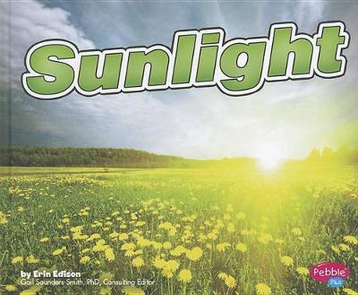 Book cover for Sunlight