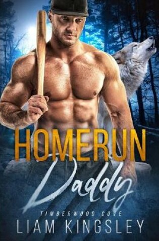 Cover of Homerun Daddy