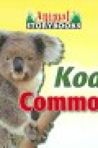 Cover of Koala Commotion
