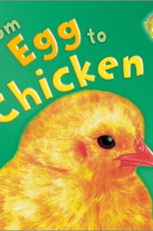 Cover of Lifecycles: From Egg To Chicken