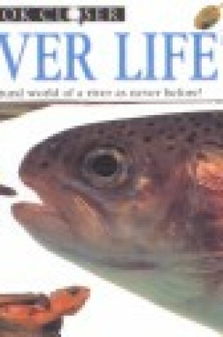 Cover of River Life