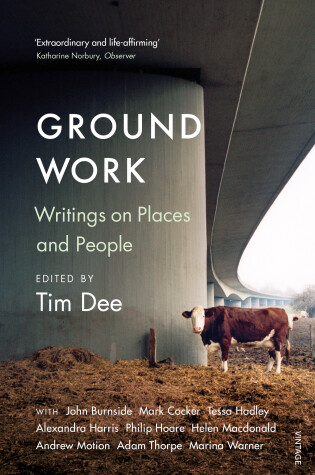 Cover of Ground Work