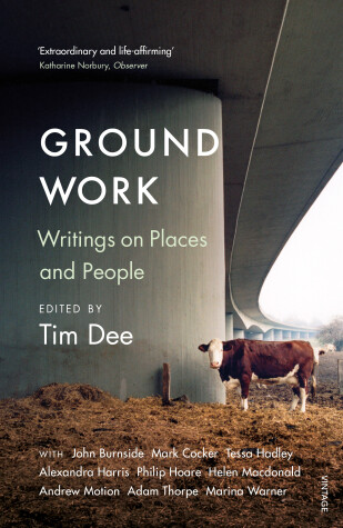 Book cover for Ground Work